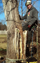 milford-tree-service-owner
